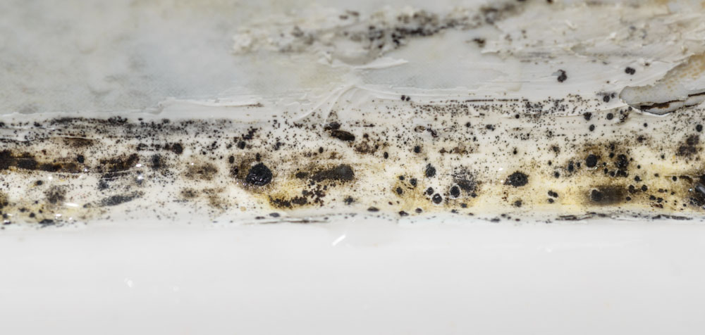 mold on the sink removal San Fernando Valley, CA
