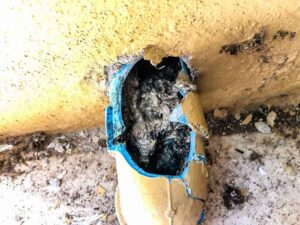 how to prolong the life of your sewer lines